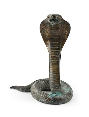Cobra in ottone patinato, XX secolo cm 30x24x18 ritratto nella caratteristica...