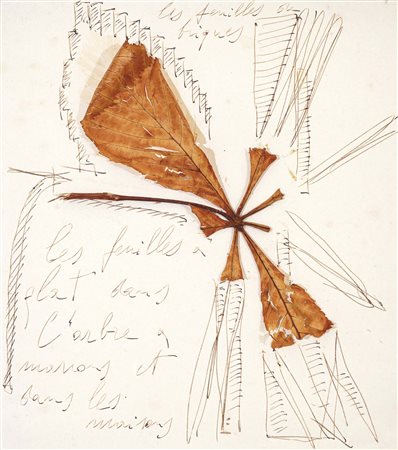 Les feuilles et les briques