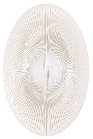 Dinamica ellittica