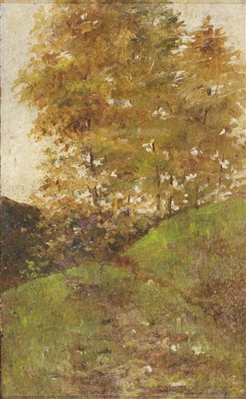 Paesaggio di montagna