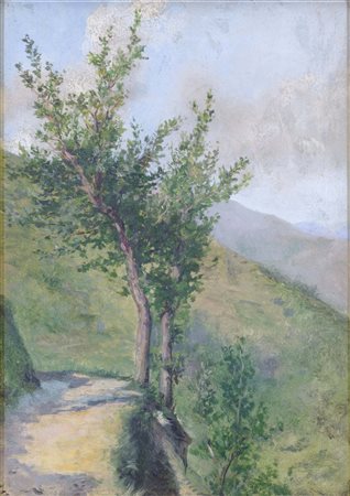 Colonia Arnaldi