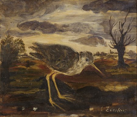 Beccaccino in paesaggio