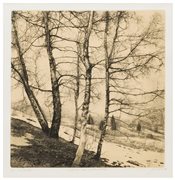 Livio Ceschin (1962)
Neve nella vallata, 1998