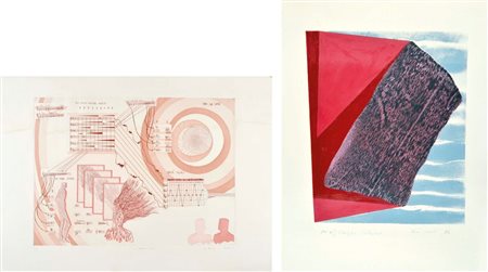 AUTORI VARI Soggetti vari lotto di 2 grafiche 65x50 - 36x50 Crivelli R.:...