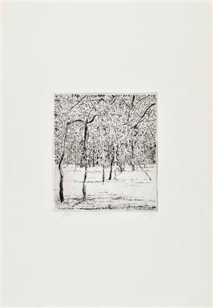 RAINALDI OLIVIERO Caramanico Terme (Pe) 1956 Viaggio in campagna acquaforte...