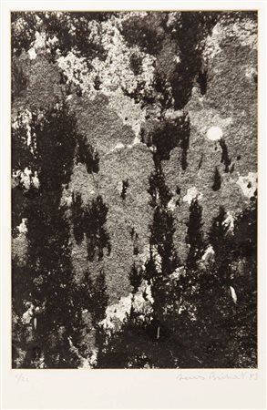DENIS BRIHAT<BR>1928 Parigi-Bonnieux (Francia) 2024<BR>"Licheni su roccia"