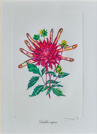 Salvador Dalí (1904 - 1989)
Dahlia rapax