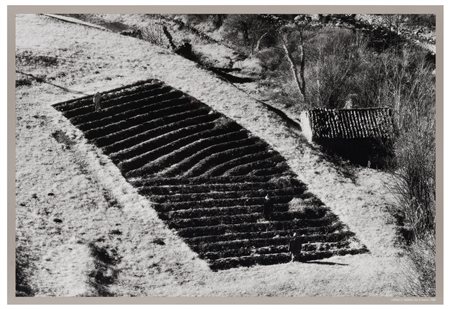Elio Ciol (1929)
Lungo l’Arzino, 2005
