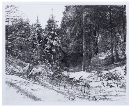 Livio Ceschin (1962)
Nel silenzio dell'inverno, 2000