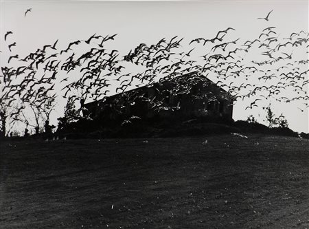 Mario Giacomelli (1925-2000) Senza titolo, 1980/1990 fotografia ai sali...
