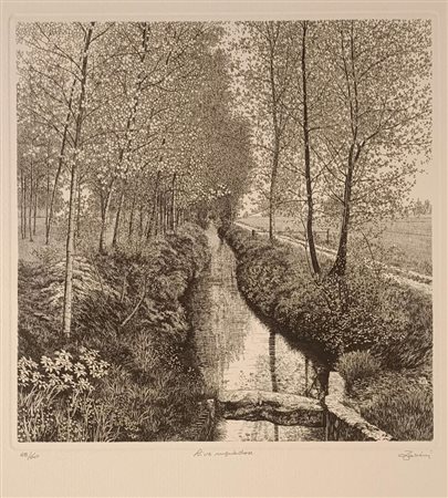 ZALIANI AGOSTINO Pavia (Pv) 1932 Rive... Incisione acquatinta acquaforte es....