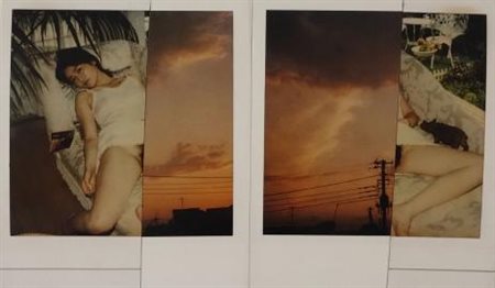 ARAKI NOBUYOSHI Tokyo (Giappone) 1940 Polarnography 2018 Riproduzione...