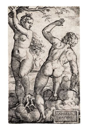 Barthel Beham, Apollo e Dafne. 1520-1540. Bulino. mm 81x49. Bartsch, VIII,...