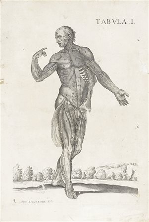Pietro Berrettini (detto Pietro da Cortona), Tabulae anatomicae ex Archetypis...