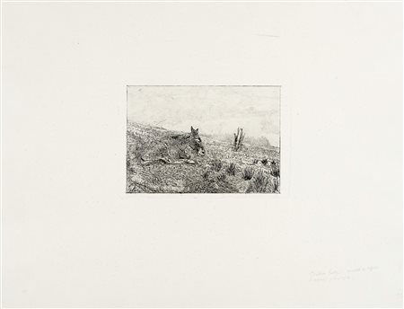 Giovanni Fattori, Somaro in riposo. Acquaforte su zinco. mm 186x263. Foglio:...