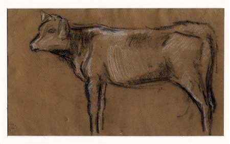 Mario Nannini, Mucca. Carboncino e gessetto su carta bruna. mm 304x414....