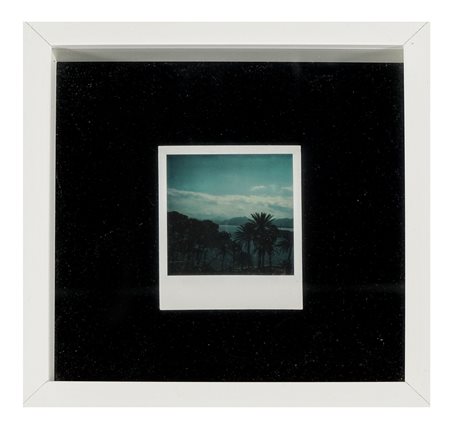 Mario Schifano, Palme. anni '70 del XX secolo. Polaroid. mm 110x80. Al verso...