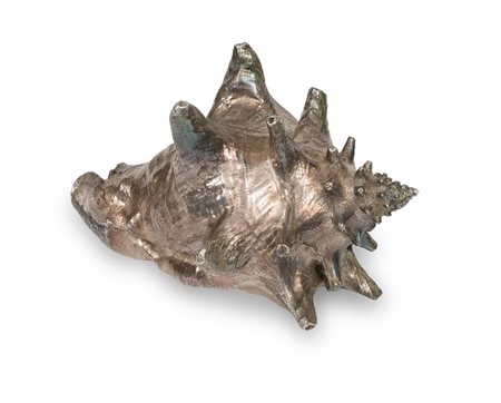 CONCHIGLIA RIVESTITA IN ARGENTO, MILANO, FEDERICO BUCCELLATI, XX SECOLOLung...