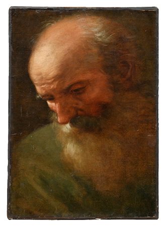 UBALDO GANDOLFI - Testa di vecchio pensoso