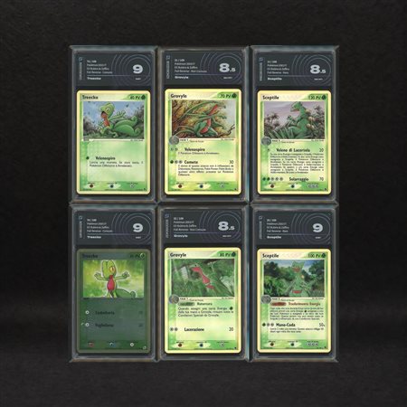 The Pokémon Company  
Lotto Starter Hoenn Reverse Holo: Treecko #75-76, Grovyle #31-32, Sceptile #11-20, EX Rubino e Zaffiro [ITA] 2003
 