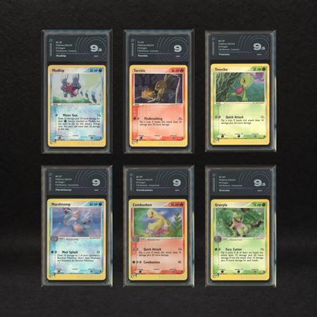 The Pokémon Company  
Starter Hoenn Reverse Holo Lot: Mudkip #65, Torchic #77, Treecko #80, Marshtomp #36, Combusken #25, Grovyle #31, EX Dragon [ENG] 2003
 