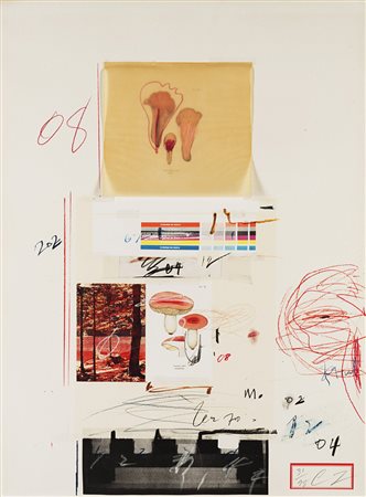 Cy Twombly (Lexington 1928 - Roma 2011) - "Natural History Part I" 1974...