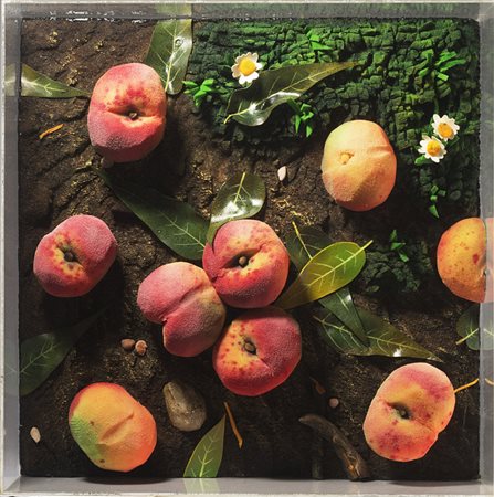 Piero Gilardi (Torino 1942) - "Pesche" 1975 poliuretano espanso in scatola di...