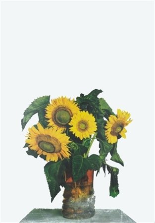 Michelangelo Pistoletto (Biella 1933) - "Girasoli" serigrafia su acciaio...
