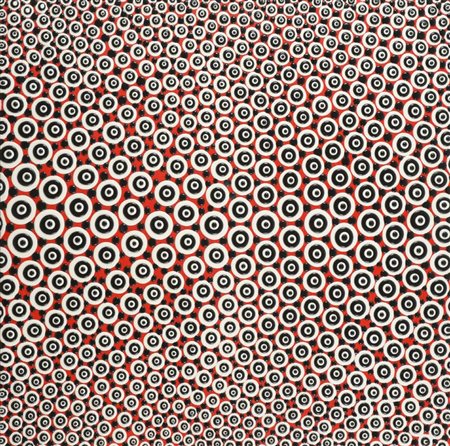 Davide Nido, Senago (Mi) 1966 - 2014, Orbite in onda 2006, Plastiche...