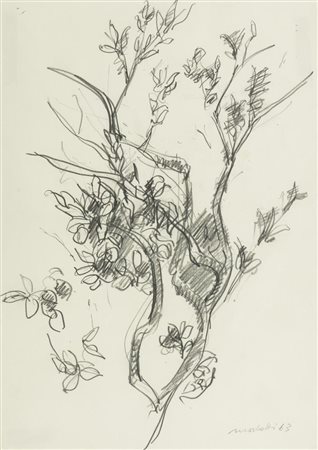 Ennio Morlotti, Lecco 1910 - Milano 1992, Ramo di ulivo 1963, Matita su...