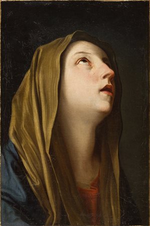Anonimo reniano Testa della Vergine Olio su tela cm. 51 x 33,5