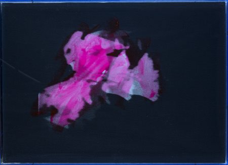 MARIO SCHIFANO Homs 1934 - Roma 1998 Inventario, 1973-74 Smalto su tela...