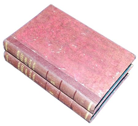 TWO WORKS ON RELATIONSHIP BETWEEN WORK AND LEISURE, THE EFFECTS OF BOTH IN...