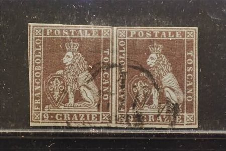 TOSCANA - 1851, 9 cr.viola bruno violaceo su azzurro (8b) coppia orizzontale...