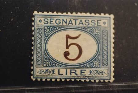 REGNO D'ITALIA - 1874, Segnatasse, 5 l. azzurro e bruno (13) ben...