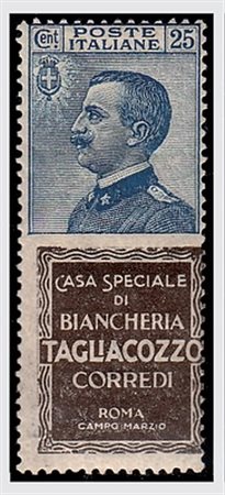 REGNO D'ITALIA - 1924, Pubblicitari, 25 c. TAGLIACOZZO (8). (Cert....