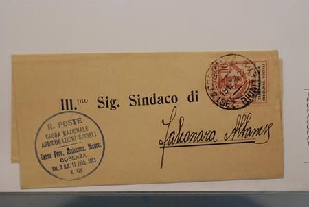REGNO D'ITALIA - 1924, Parastatali, 10 c. Cassa Nazionale Assic. Sociali (25)...