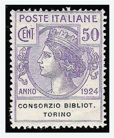 REGNO D'ITALIA - 1924, Parastatali, Consorzio Biblioteche Torino, 4 valori...