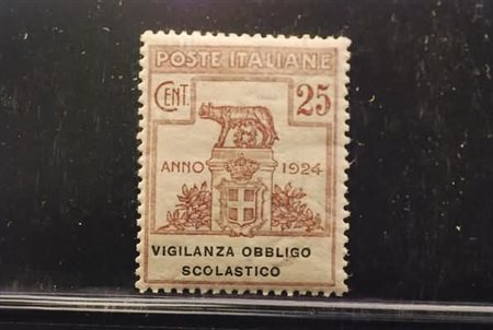 REGNO D'ITALIA - 1924, Parastatali, Vigilanza obbligo scolastico, 25 c. lilla...