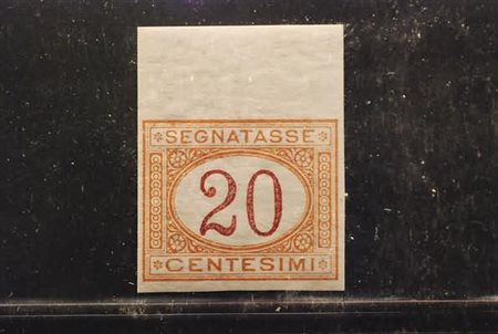 REGNO D'ITALIA VARIETA' - 1894, Segnatasse, 20 c. arancio e carminio (22g)...