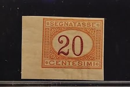 REGNO D'ITALIA VARIETA' - 1894, Segnatasse 20 c. non dentellato (22g) angolo...