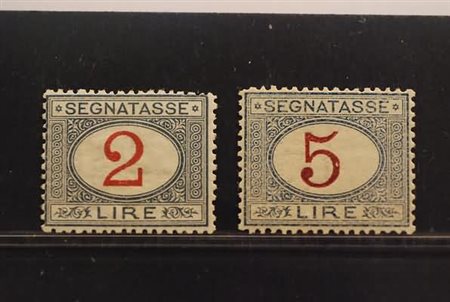 REGNO D'ITALIA - 1903, Segnatasse, 2 valori cpl. (29/30) ben centrati.(GOMMA...