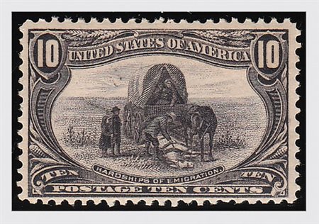 STATI UNITI - 1898, Trans-Mississippi 10 c. (154) ben centrato.(GOMMA INTEGRA)