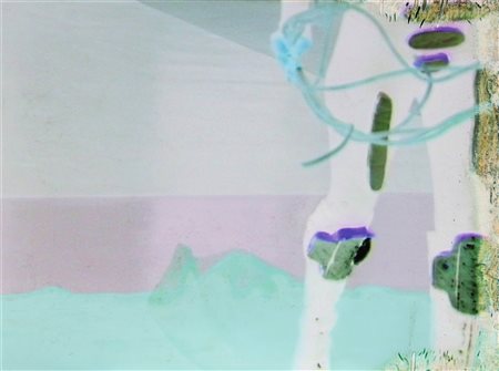 SEMERIA FRANCESCA Senza titolo. Fotografia su lastra . Cm 52,00 x 70,00.