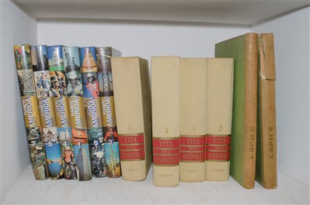 LOTTO composto da 2 VOLUMI "Capire", 6 VOLUMI "Pianeta America" e da 4 VOLUMI...