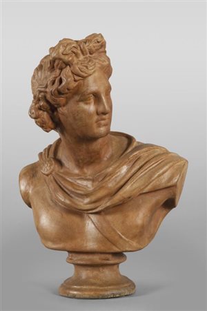 Apollo, busto in terracottacm. 53x73