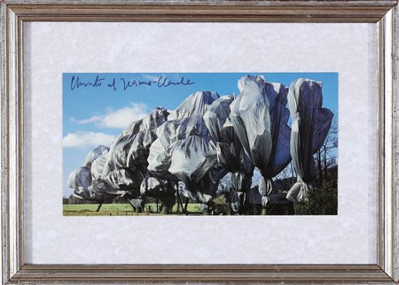 CHRISTO' (n. 1935) & JEANNE-CLAUDE (1935 - 2009) Wrapped Trees. Fotografia....