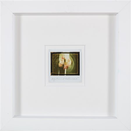 GALIMBERTI MAURIZIO (n. 1956) Room Flowers 10. Polaroid singola. Cm 10,00 x...