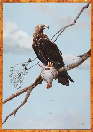 HODGE SPENCER (n. 1943) Aquila. Olio su tela . Cm 80,00 x 115,00. Firmato in...