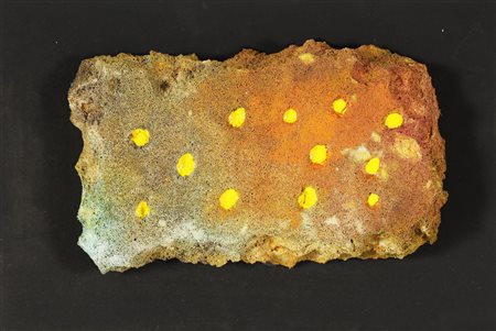 NUCARA RENZO (n. 1955) Reperto. 1994. Resine, pigmenti. Cm 22,00 x 13,00 x...